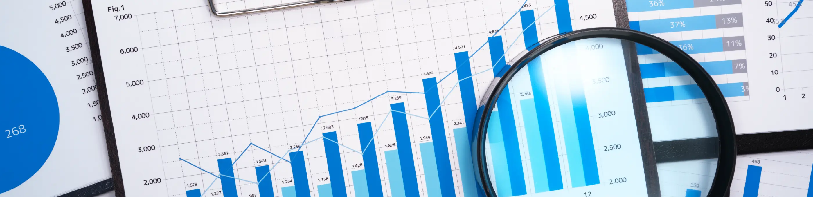 会計コンサルティング業務